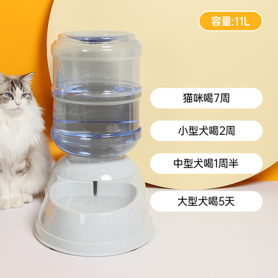 不插電的靈動源泉 寵物自助飲水機，讓毛孩子愛上喝水