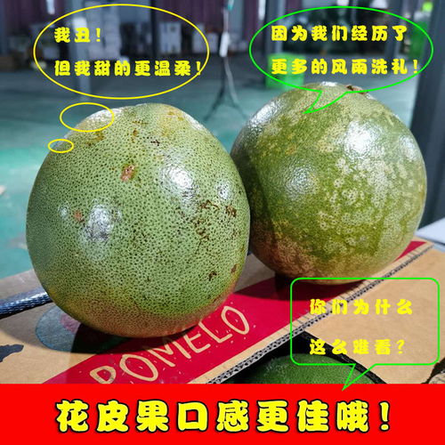 泰國青柚 白心金柚，當季鮮果，享譽全球的熱帶特產