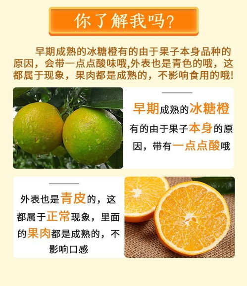 甜蜜柚惑與橙香四溢 當季水果的交響盛宴