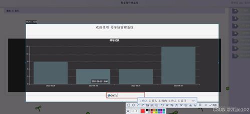 基于Django與Vue的停車場管理系統 計算機畢業設計代理代辦服務